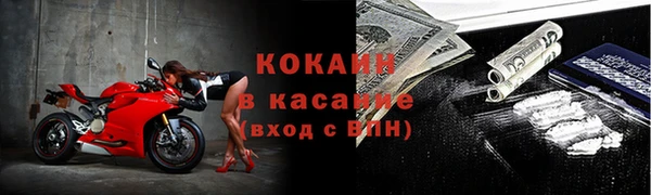 сатива Абинск