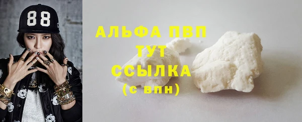 сатива Абинск
